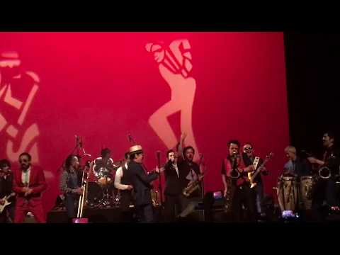 Paradise Has No Border - Tokyo Ska Paradise Orchestra Feat Los Elefantes