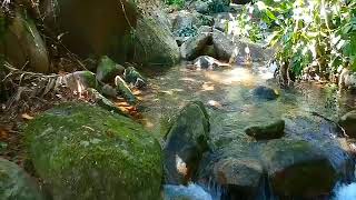 preview picture of video 'Gunung Gading Waterfall'