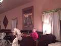 NOV 18 MAYCI FUNDRAISER Wmv