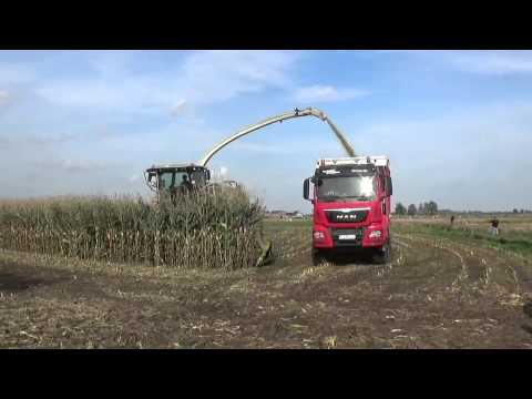 Loonw. Neyt A - Oosteeklo