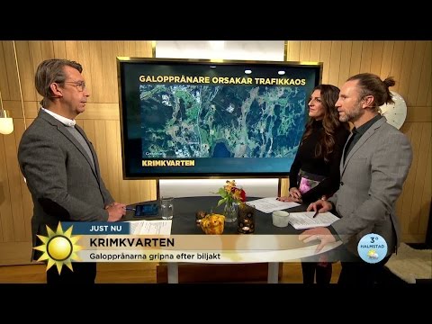 Krimkvarten: Spridde fotanglar - kan ha koppling till galloppliga - Nyhetsmorgon (TV4)