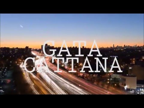 Gata Cattana  - Gotham