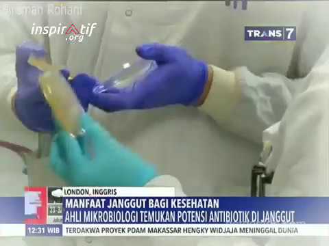 Biji labu untuk meningkatkan potensi Yang terbaik dan paling aman untuk memperbesar penis Anda