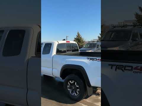 2023 Toyota Tacoma in White for sale at Forbes Waterloo Toyota in Waterloo, ON