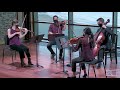 Aleksandra Vrebalov: Pannonia Boundless | Rasa String Quartet