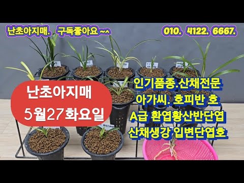유튜브 썸네일