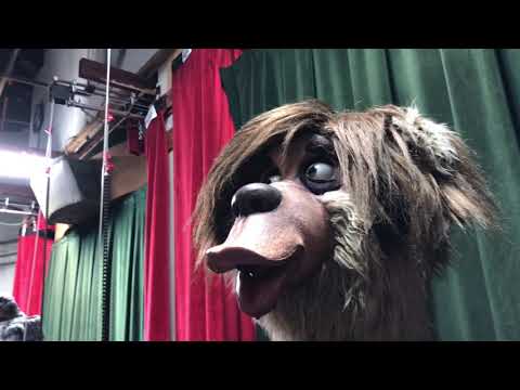 Backstage look at Disney's Country Bear Jamboree