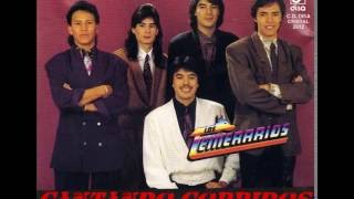 Los Temerarios    Sucedio En La Barranca