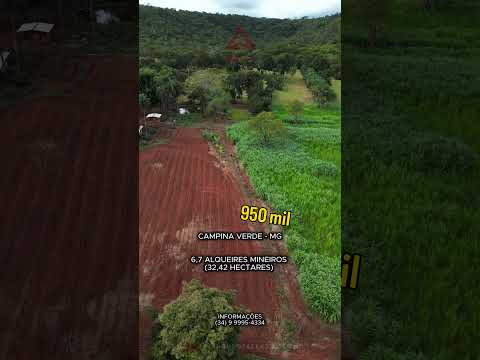 Terra com preço de oportunidade na região de Campina Verde Mg terra de Bacuri