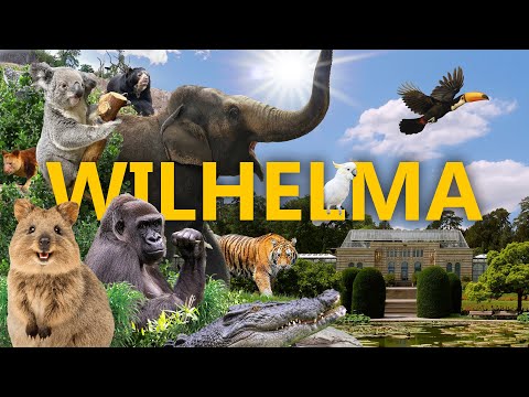 Die Wilhelma im Wandel – wie gut ist der Stuttgarter Zoo heute wirklich?