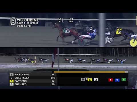Woodbine, Mohawk Park, December 8, 2018 Race 7