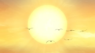 19. Round One - By Jeff Williams