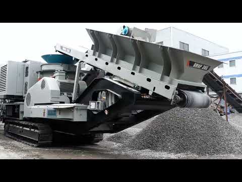2022-dongmeng-tracked-mobile-jaw-crusher-24466984