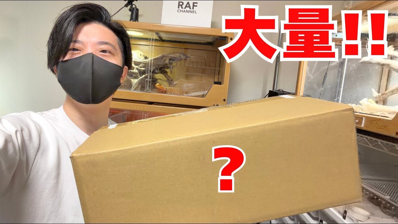 謎の箱が届いたので開封していきます！