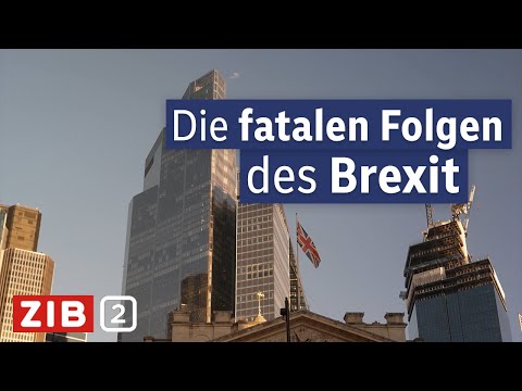 Fünf Jahre Brexit: Wie steht Großbritannien heute da? | Fokus Europa vom 29.01.2025