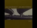 BOWERY ELECTRIC - BLACK LIGHT