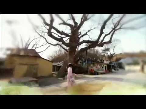Trailer de Can You Hear My Heart (2011)
