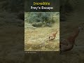 Incredible Prey's Escape