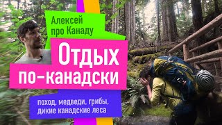 Как я провел отпуск рыбалка