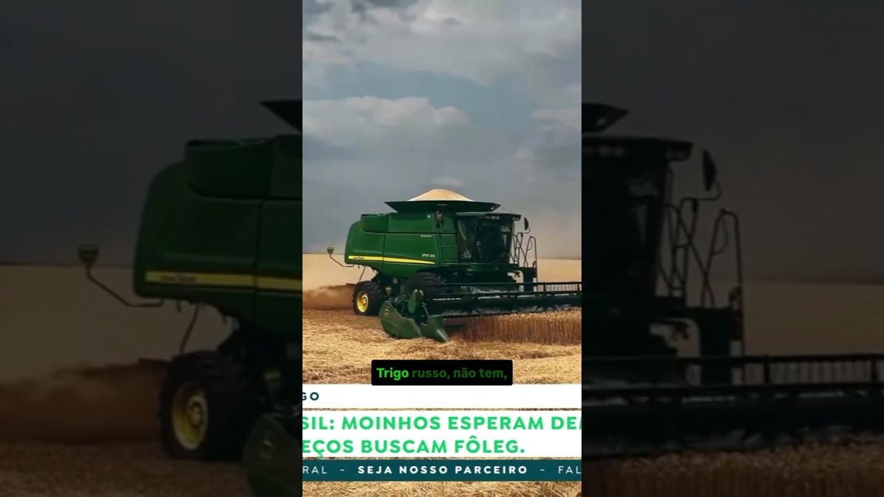 Alerta no Prato: Enquanto Feijão Despenca cerca de 40%,Trigo e Arroz Disparam.