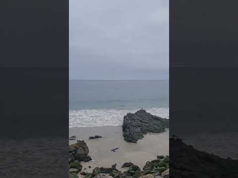 relajo en chañaral, atacama, chile