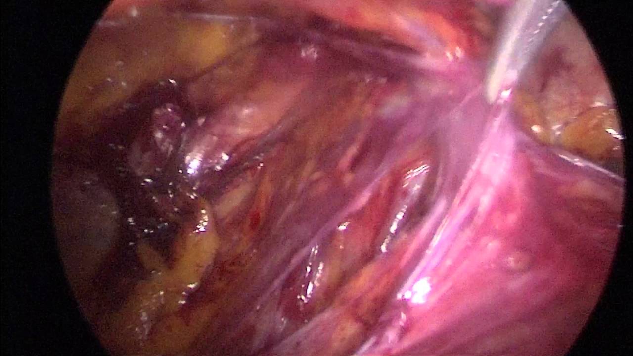 M. Ferhat Ferhatoğlu-9