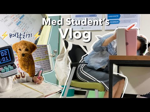 Eng)의대생vlog: 긴장의 끈을,,,놓으면 안돼 | 본과 2학년 연휴동안 벼락치는⚡시험공부 | 공부자극 Korean med student's vlog