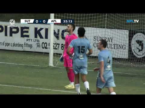 NPL NSW Men's Round 6 Fixture – Sutherland Sharks v APIA Leichhardt