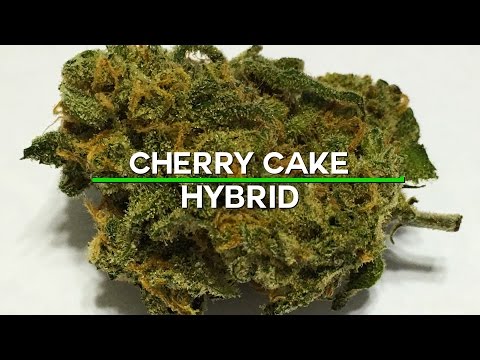 420 Strain Reviews- Cherry Cake