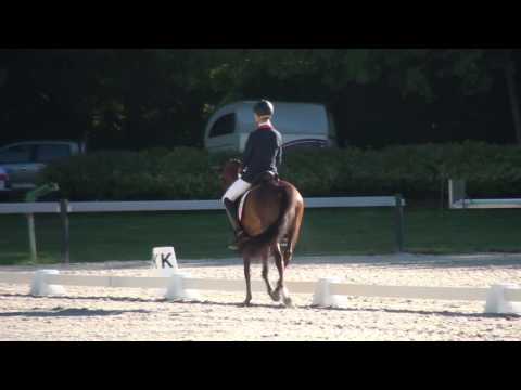 Luiten Marten - Movie Star - EUROPEAN CHAMPIONSHIPS FOR PONIES 2017 KAPOSVÁR
