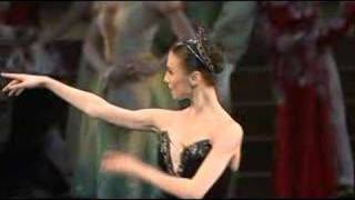 Swan Lake Video