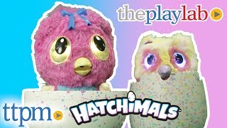 Hatchimals Hatchibabies and Hatchimals Mystery from Spin Master