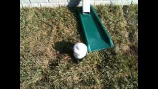 whats the white cap in my yard