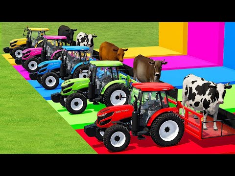 TRANSPORTING COWS WITH COLORED TRACTORS -Farming Simulator 22