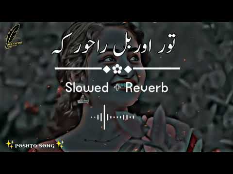 Tor orbal Ra khor ka [slow+reverb] TikTok Viral song 2022