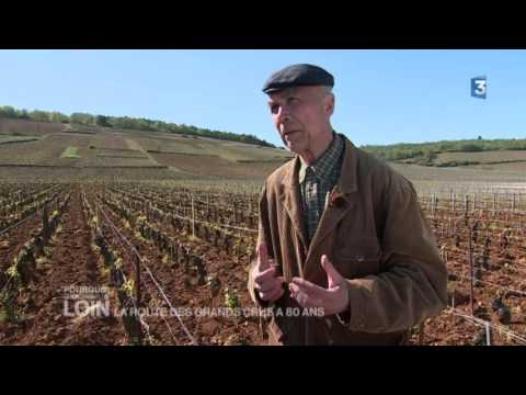 PCPL - La route des Grands Crus a 80 ans