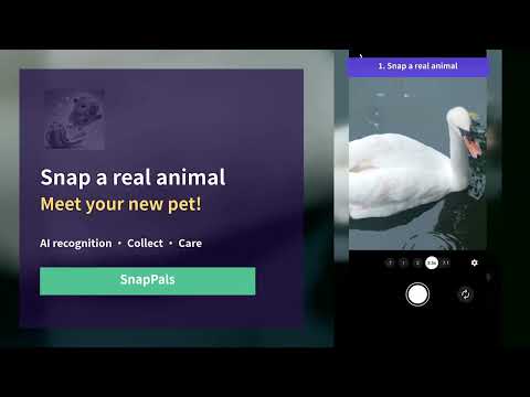 SnapPals video thumbnail