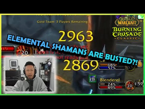 Elemental Shamans are BUSTED?! | Daily Classic WoW Highlights #345 |