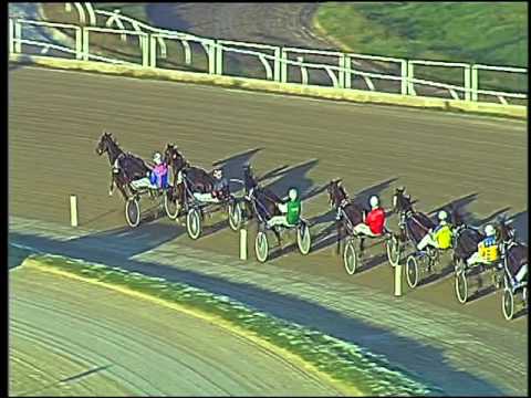 Trotto 19/11/2015 - 3° corsa