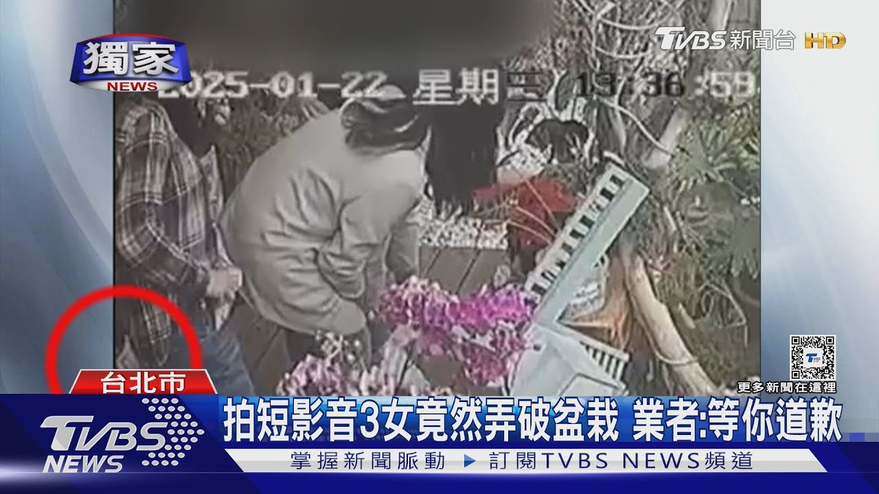 拍短影音3女竟然弄破盆栽 業者:等你道歉