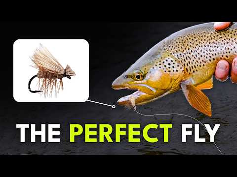 Match the Hatch — Fly Selection Tips Every Angler Needs to Know | Episode 2