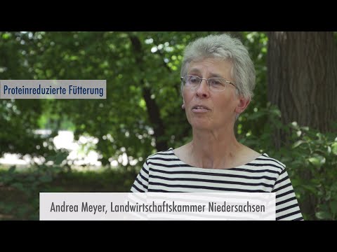 Saaten-Union: MyRye – Mit Roggen wachsen | Erfolgreiche Schweinefütterung mit Roggen, A. Meyer (LWK)