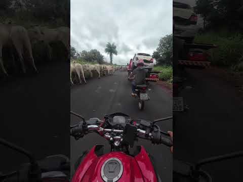 carro do acidente próxima a nova Colinas