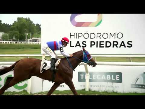 220304 C03 - DON SAVATER - HIPODROMO LAS PIEDRAS -