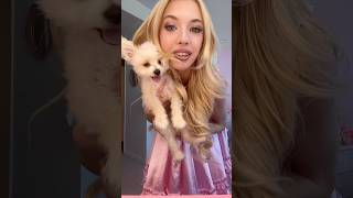 Download lagu what having a 5 month old puppy is actually like 😂 mp3