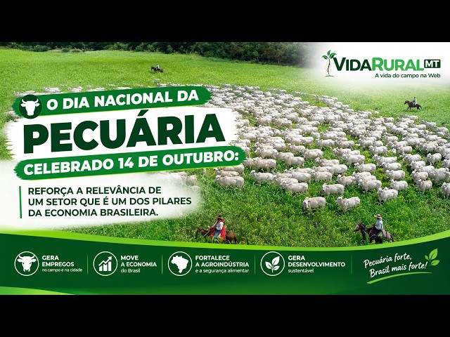 SETOR REGISTRA NÚMEROS HISTÓRICOS E PROJETA CRESCIMENTO