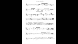 Ravi Shankar - Raga Maru Bihag transcription by Lefteris Kordis