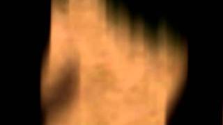 BALKAN BEAT BOX - La Bush Resistance