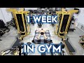 Living 1 Week Straight in Gym Challenge