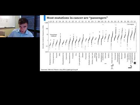 Identifying Driver Alterations and Therapeutic Options in Cancer
